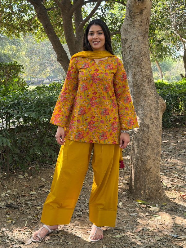 Poppy Red mustard farshi set Jonaya