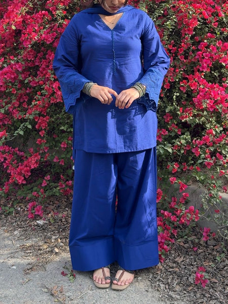 Royal Blue Schiffly Farshi Salwar Set Jonaya