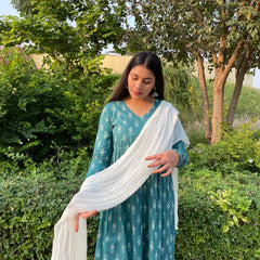 Ikkat Mohini set - Jonaya